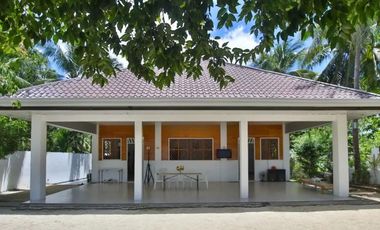 2 Houses with White Sand Beach Camotes Islands, Cebu for sale in Himensulan