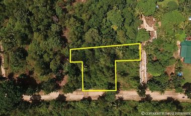 Along the Road Lot with a Building Permit for Sale in Camotes Islands, Cebu