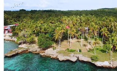 5,992 sq.m Beach Property with Native House For Sale in Camotes Island, Cebu