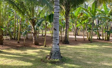 5,992 sq.m Beach Property with Native House For Sale in Camotes Island, Cebu