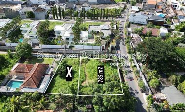 Main Road - Land 785m² , Kayu Tulang Canggu