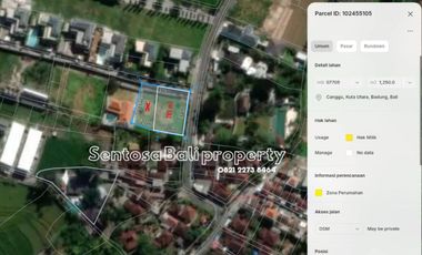 Main Road - Land 785m² , Kayu Tulang Canggu