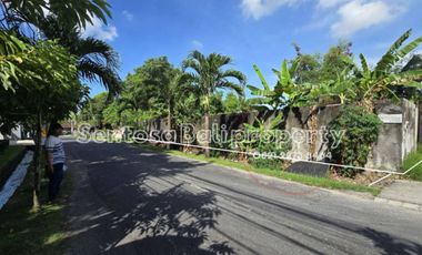 Main Road - Land 785m² , Kayu Tulang Canggu