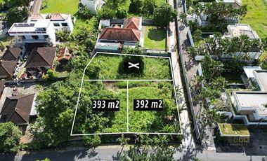 Main road land 393 & 392m² - Kayu tulang Canggu