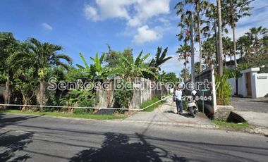 Main road land 393 & 392m² - Kayu tulang Canggu