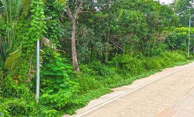 567 m2 / 6,103 ft2 | Residential Estate Ready for Development