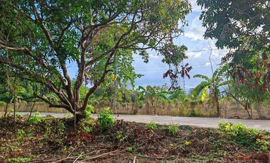 567 m2 / 6,103 ft2 | Residential Estate Ready for Development