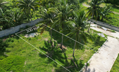 300 sqm Residential Farm Lot in Banay-Banay Amadeo, Cavite