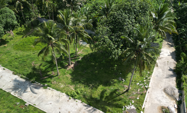 300 sqm Residential Farm Lot in Banay-Banay Amadeo, Cavite