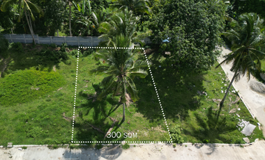300 sqm Residential Farm Lot in Banay-Banay Amadeo, Cavite