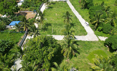 300 sqm Residential Farm Lot in Banay-Banay Amadeo, Cavite