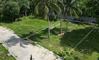 300 sqm Residential Farm Lot in Banay-Banay Amadeo, Cavite