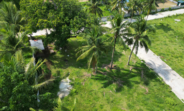 300 sqm Residential Farm Lot in Banay-Banay Amadeo, Cavite