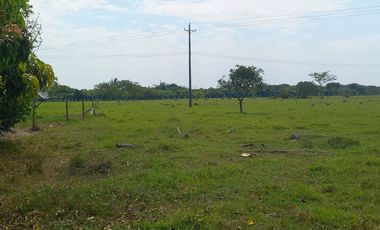 SE VENDE HERMOSA FINCA DE 20 HAS CORREGIMIENTO PUNTO NUEVO YOPAL
