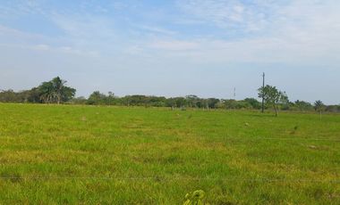 SE VENDE HERMOSA FINCA DE 20 HAS CORREGIMIENTO PUNTO NUEVO YOPAL