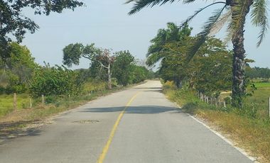 SE VENDE HERMOSA FINCA DE 20 HAS CORREGIMIENTO PUNTO NUEVO YOPAL