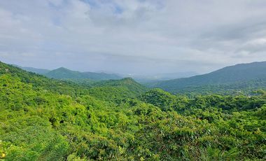 Casa Ecoturística u Hostal Venta Minca, 13.000 m2, Vista a Santa Marta