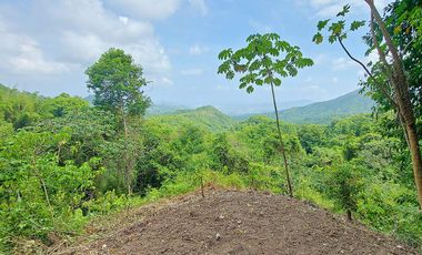 Casa Ecoturística u Hostal Venta Minca, 13.000 m2, Vista a Santa Marta