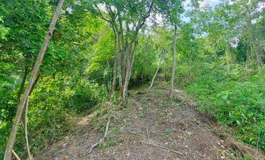 Casa Ecoturística u Hostal Venta Minca, 13.000 m2, Vista a Santa Marta