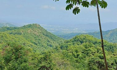 Casa Ecoturística u Hostal Venta Minca, 13.000 m2, Vista a Santa Marta