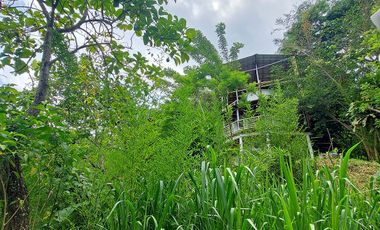 Casa Ecoturística u Hostal Venta Minca, 13.000 m2, Vista a Santa Marta