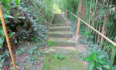 Casa Ecoturística u Hostal Venta Minca, 13.000 m2, Vista a Santa Marta