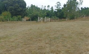 Parcelas Los Patos Arauco 16 ha