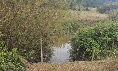 Parcelas Los Patos Arauco 16 ha