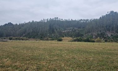Parcelas Los Patos Arauco 16 ha