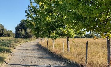 SE ARRIENDA CASA EN SAN RAFAEL PROVINCIA DE TALCA