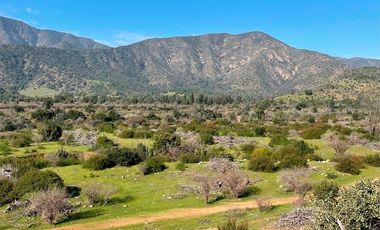 TERRENO 151 HA CON AGUAS INSCRITAS CAMINO LOS GUINDOS MELIPILLA