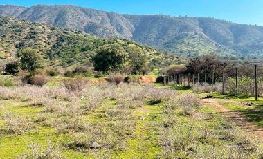 TERRENO 151 HA CON AGUAS INSCRITAS CAMINO LOS GUINDOS MELIPILLA