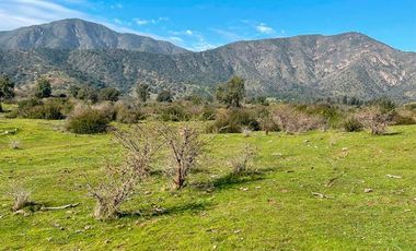TERRENO 151 HA CON AGUAS INSCRITAS CAMINO LOS GUINDOS MELIPILLA