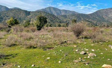 TERRENO 151 HA CON AGUAS INSCRITAS CAMINO LOS GUINDOS MELIPILLA