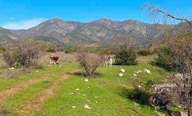 TERRENO 151 HA CON AGUAS INSCRITAS CAMINO LOS GUINDOS MELIPILLA
