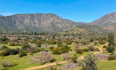 TERRENO 151 HA CON AGUAS INSCRITAS CAMINO LOS GUINDOS MELIPILLA