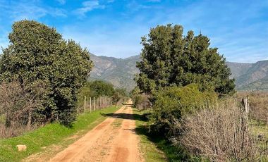 TERRENO 151 HA CON AGUAS INSCRITAS CAMINO LOS GUINDOS MELIPILLA