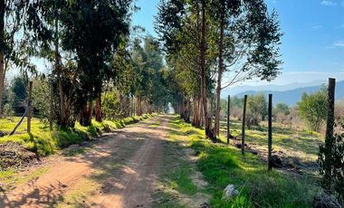 TERRENO 151 HA CON AGUAS INSCRITAS CAMINO LOS GUINDOS MELIPILLA