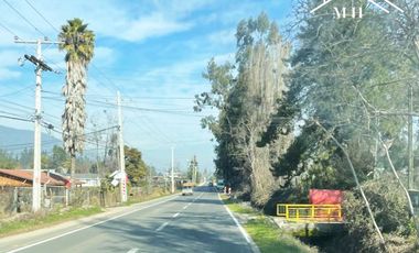 TERRENO 151 HA CON AGUAS INSCRITAS CAMINO LOS GUINDOS MELIPILLA