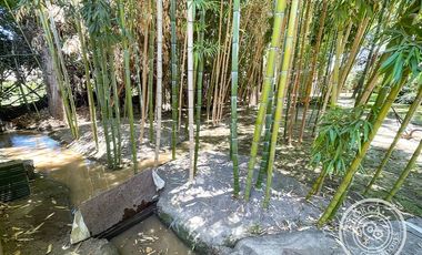 Propiedad y centro de eventos Los Andes en Venta