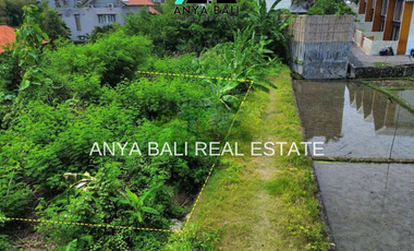 Tanah 261 m2 Kawasan Villa di Semer Kerobokan Bali