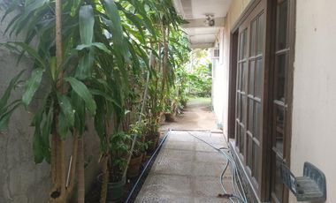 Exclusive! FOR SALE! Below Market Value 500 sqm 3 Bedroom House and Lot at Ayala Alabang Village
