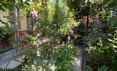 LOS ANDES - ARRIENDO CASA CENTRO