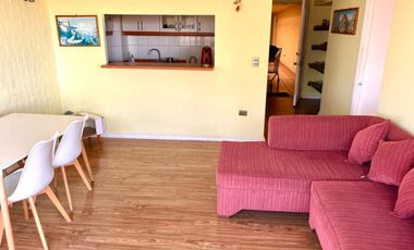 Arriendo amplio Departamento en Reñaca con 3 Dormitorios, jardin del Mar
