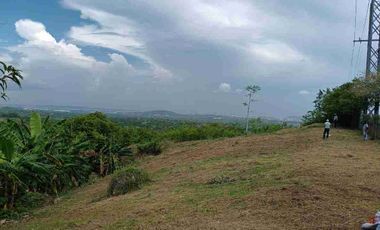 Finca de 5 has con hermosa vista de Cartagena.