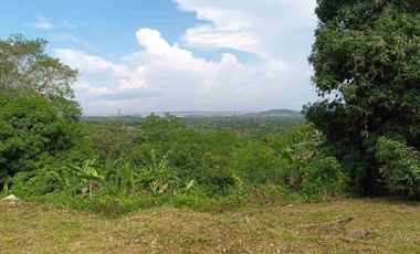 Finca de 5 has con hermosa vista de Cartagena.