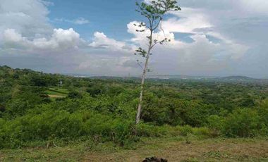 Finca de 5 has con hermosa vista de Cartagena.