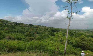 Finca de 5 has con hermosa vista de Cartagena.