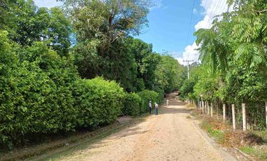 Finca de 5 has con hermosa vista de Cartagena.