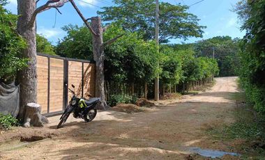 Finca de 5 has con hermosa vista de Cartagena.